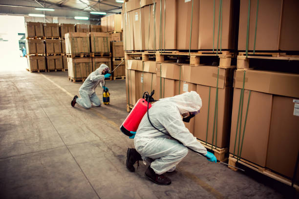 Best Affordable Pest Control Services  in Deephaven, MN