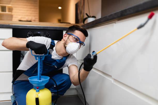 Best Exterminator Services  in Deephaven, MN
