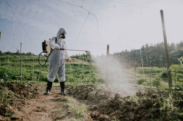 Best Best Pest Control Companies  in Deephaven, MN