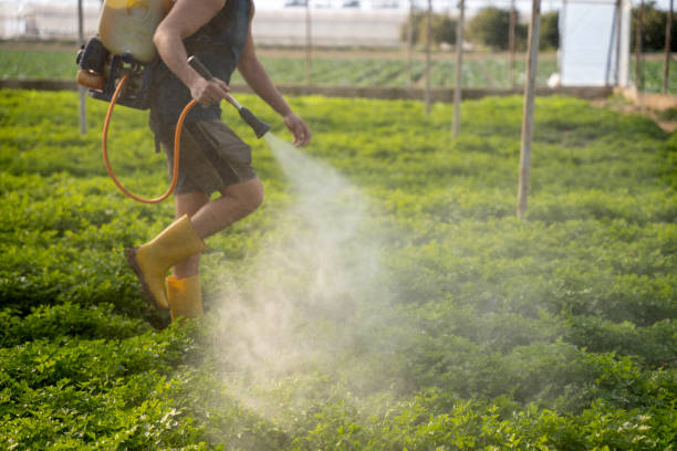 Best Best Pest Control Companies  in Deephaven, MN