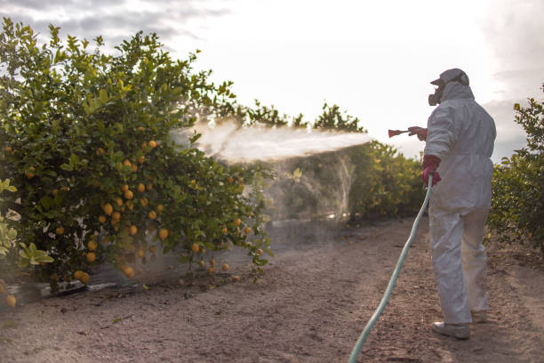 Best Residential Pest Control  in Deephaven, MN