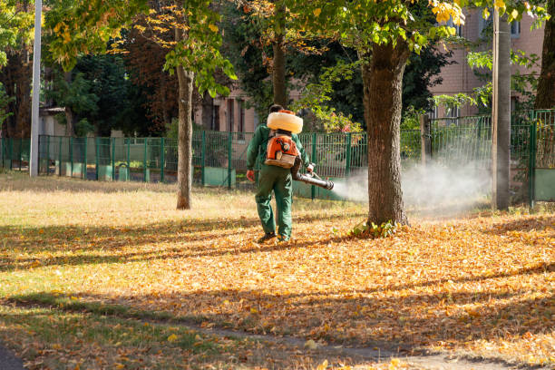 Best Pest Control for Homes  in Deephaven, MN