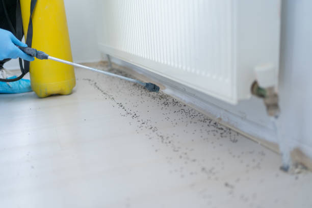 Best Pest Removal Services  in Deephaven, MN